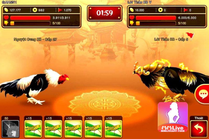 Game đá gà MMlive - trò chơi đá gà đang được săn đón nhất các nhà cái 4 Những kinh nghiệm được truyền lại khi chơi game đá gà MMLive online