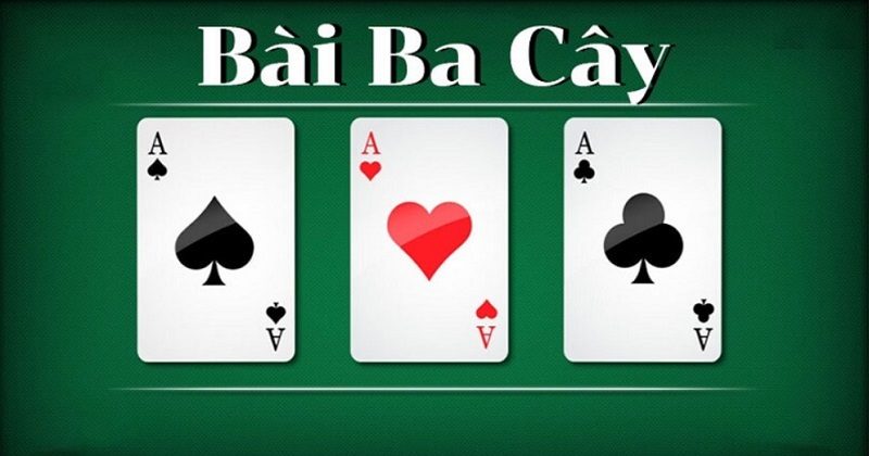 3 Cây MMlive