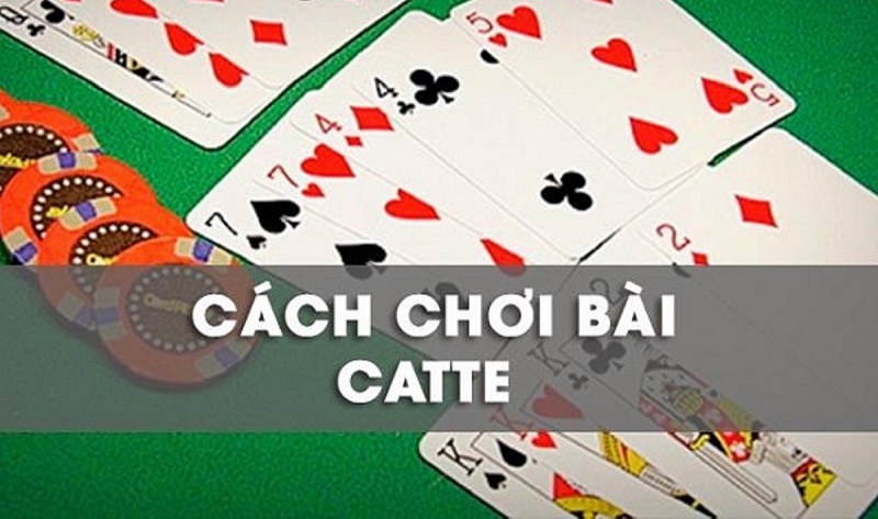 Bài Catte MMlive