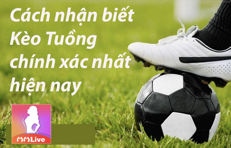 Kèo tuồng và học mẹo để tránh bị nhà cái ăn hết tiền 3 nhận biết kèo tuồng