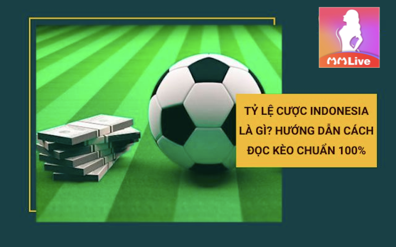 Tỷ lệ cược Indonesia - Thủ thuật chơi ăn chắc kết quả thắng 4 đọc kèo Indonesia
