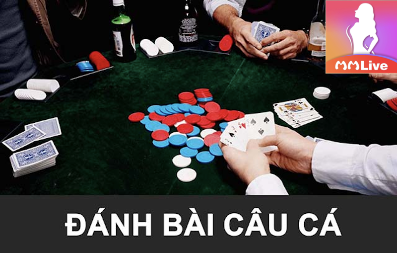 Đánh bài câu cá - Nắm vững quy luật để giành chiến thắng tuyệt đối 2 Đánh bài câu cá