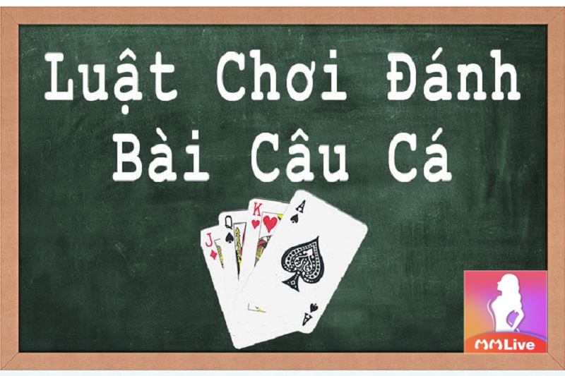Đánh bài câu cá - Nắm vững quy luật để giành chiến thắng tuyệt đối 3 luật chơi bài câu cá