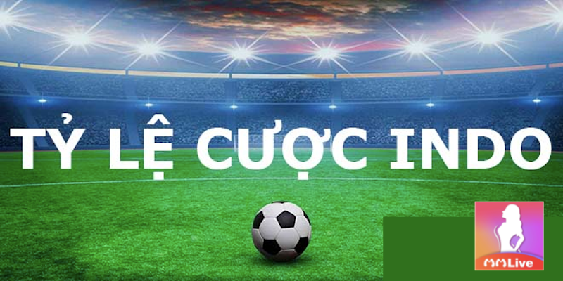 Tỷ lệ cược Indonesia - Thủ thuật chơi ăn chắc kết quả thắng 3 tính kèo Indo