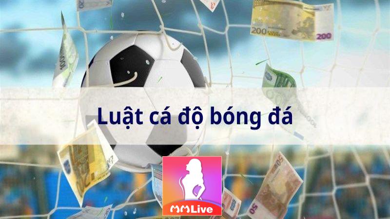 Luật cá độ bóng đá: Quy tắc vàng cho người chơi cược thể thao 2 Luật cá độ bóng đá