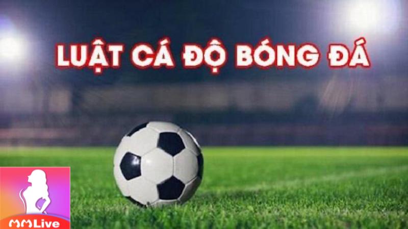 Luật cá độ bóng đá: Quy tắc vàng cho người chơi cược thể thao 4 cá độ bóng đá chấp