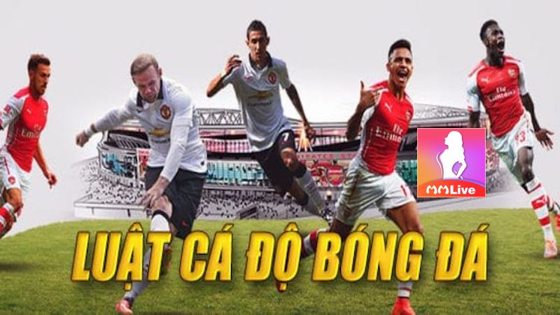 Luật cá độ bóng đá: Quy tắc vàng cho người chơi cược thể thao 3 cá độ bóng đá phổ biến