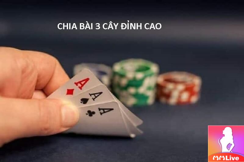 Bài Tố 3 Lá - Bí mật chiến thuật và may mắn trong tầm tay 4 bài 3 cây