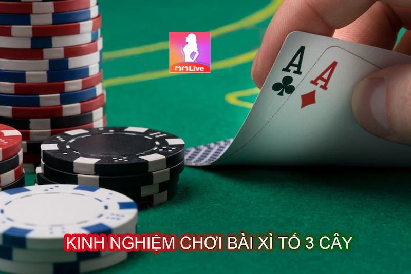 Bài Tố 3 Lá - Bí mật chiến thuật và may mắn trong tầm tay 3 bài tố 3 lá online