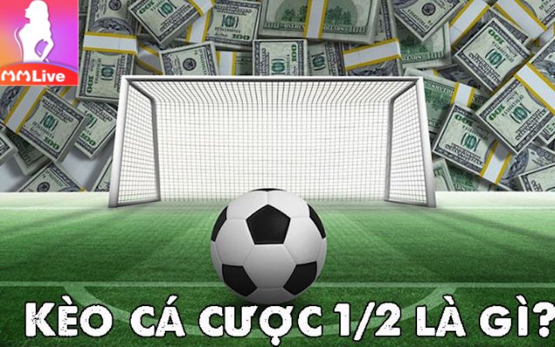 Bí quyết chọn lựa kèo Euro đạt hiệu quả cao và đảm bảo chiến thắng 100% 3 Kèo cá cược chấp 1/2