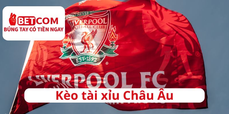 Cách soi kèo Tài Xỉu (Over/Under) cho người mới 4 Kèo tài xỉu Châu Âu