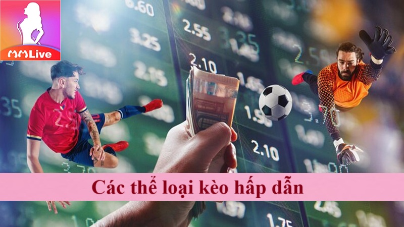 Sảnh cược thể thao MMLive: Nơi hội tụ các anh tài máu lửa 4 Các thể loại kèo hấp dẫn