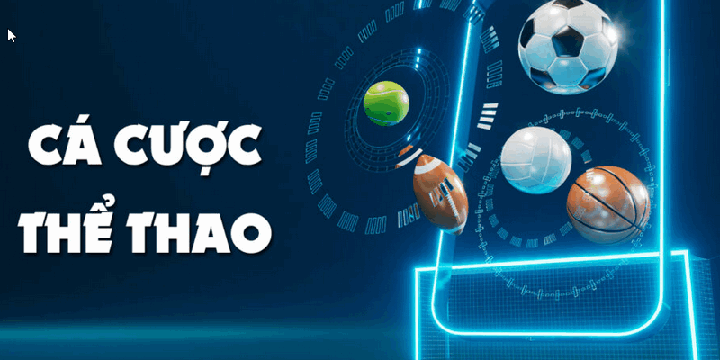 Thể thao 123b - Sảnh Cá Cược Trực Tuyến Đỉnh Cao Nhất Châu Á 2 Những điểm quan trọng về sảnh cá cược Thể thao 123b