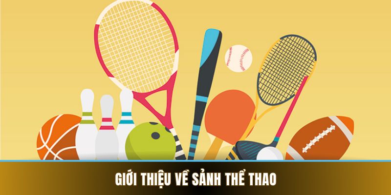 Thể Thao VB88 - Cá Cược Online Kiếm Lời Hot Nhất 2025 2 Giới thiệu về sảnh thể thao