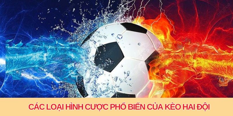 Kèo 2 Đội Đều Ghi Bàn - Phương Pháp Soi Kèo Hiệu Quả 3 Các loại hình cược phổ biến của kèo hai đội